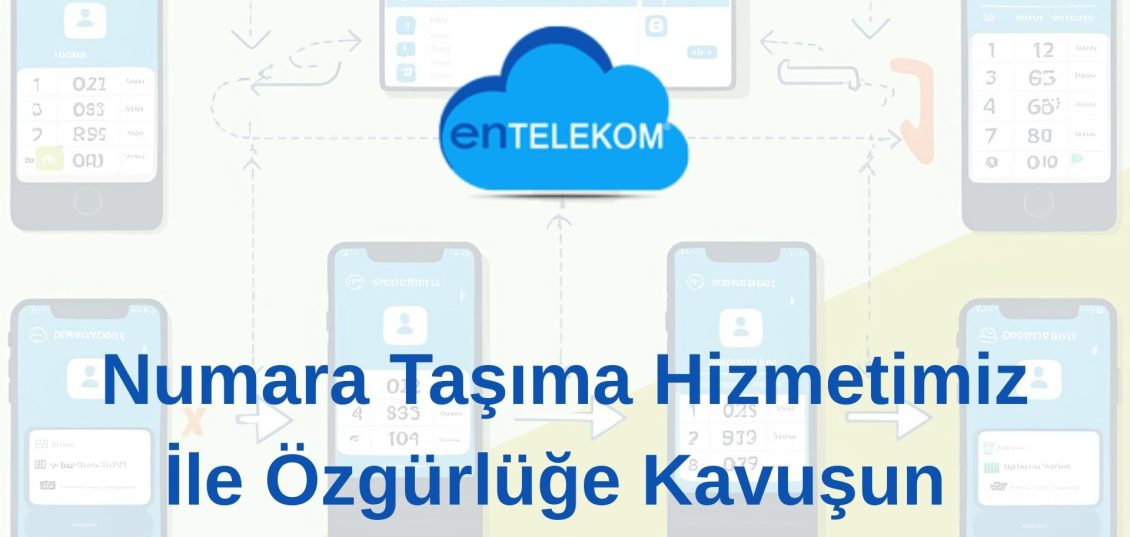 Numara Taşıma Özgürlüğe Geçiş Rehberiniz